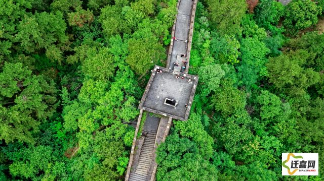 (虚树神骸怎么打)探索神秘迷境：虚树迷宫中隐藏的奥秘与未知挑战的冒险之旅