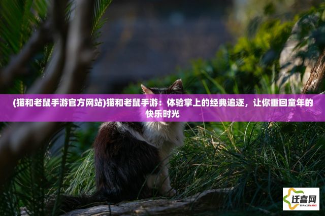 (猫和老鼠手游官方网站)猫和老鼠手游：体验掌上的经典追逐，让你重回童年的快乐时光