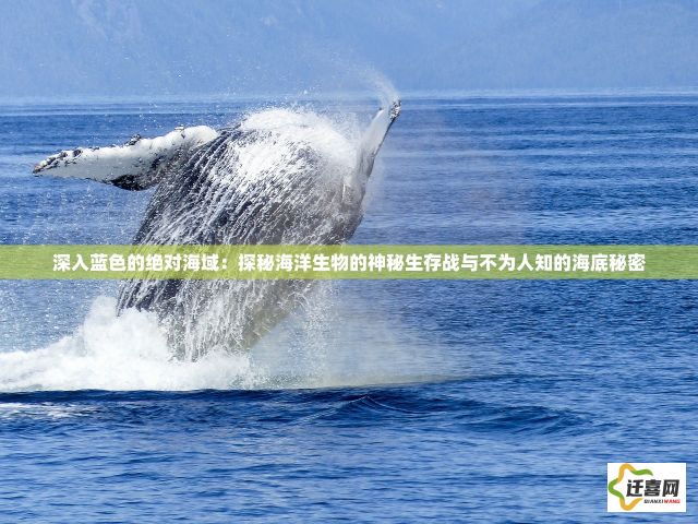 深入蓝色的绝对海域：探秘海洋生物的神秘生存战与不为人知的海底秘密