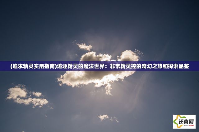 (追求精灵实用指南)追逐精灵的魔法世界：非常精灵控的奇幻之旅和探索品鉴