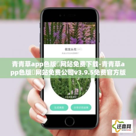 青青草app色版❤网站免费下载-青青草app色版❤网站免费公司v3.9.5免费官方版