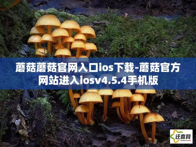 蘑菇蘑菇官网入口ios下载-蘑菇官方网站进入iosv4.5.4手机版