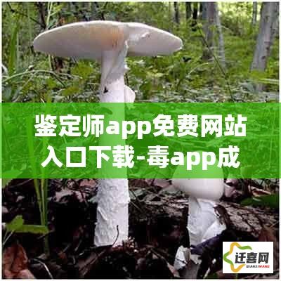 鉴定师app免费网站入口下载-毒app成为鉴定师50道题v4.6.9最新版本