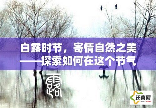 白露时节，寄情自然之美——探索如何在这个节气中捕捉和保存大自然的短暂之美